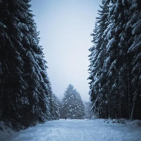 La Petite Francorchamps Ardennaise Prázdninový dům